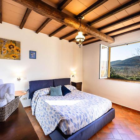 Agriturismo Cupido Montiano  Exterior foto